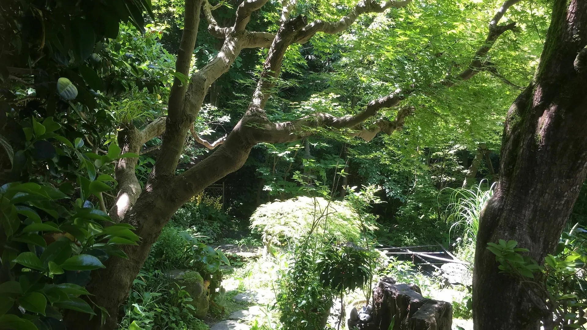 Guest House Yamato Kyōto